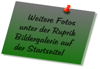 Weitere Fotos unter der Ruprik Bildergalerie auf der Startseite!